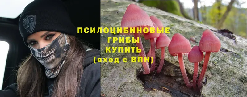 купить наркотики цена  Фёдоровский  Псилоцибиновые грибы Psilocybe 